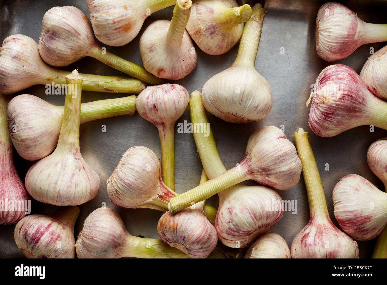 garlic bulbs group tray Garlic Allium Sativum bulbs cook ingredient Stock Photo