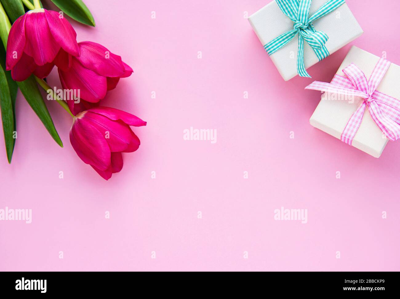Beautiful tulips bouquet and gift boxes on a pink pastel background ...