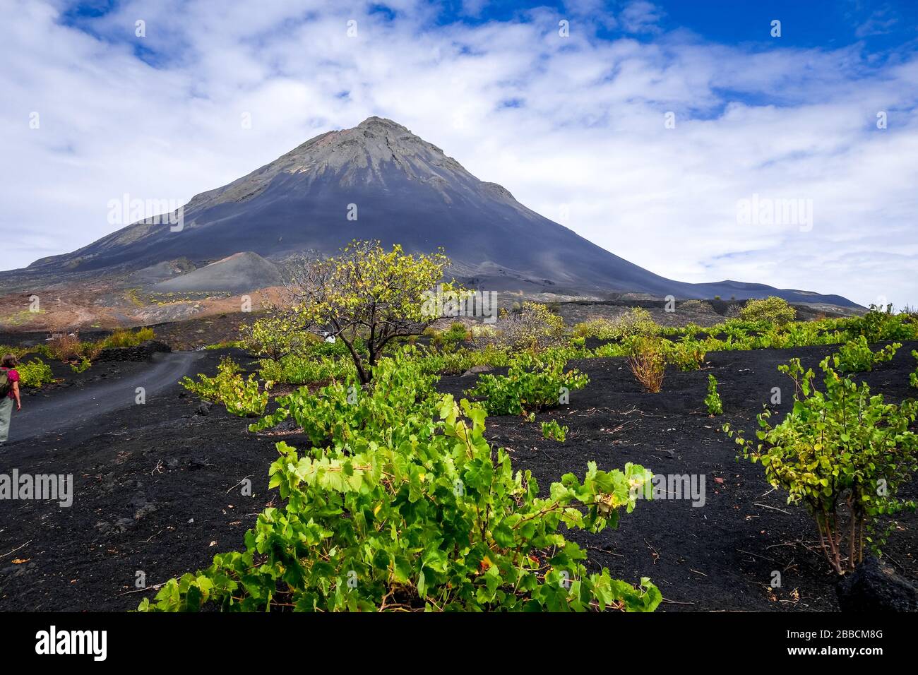 Pico do Fogo and vine growing in Cha das Caldeiras, Cape Verde Stock ...