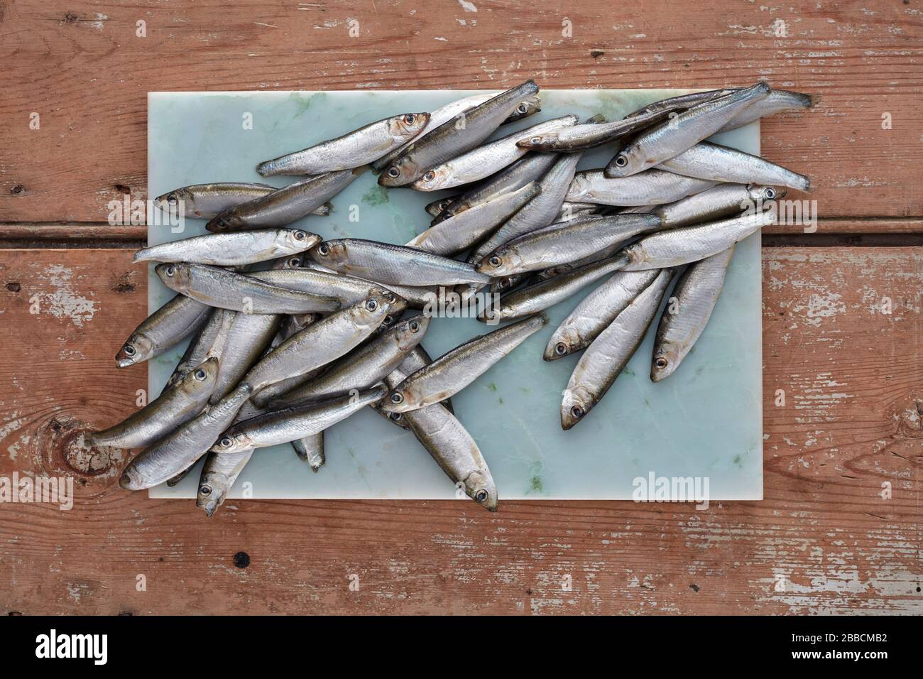 white bait whitebait fish seafood silver small eat whole board
