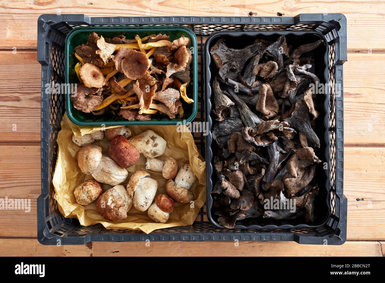 Mushrooms over head selection punnets tray bulk whole variety selection chanterelle king black trumpet cep Stock Photo