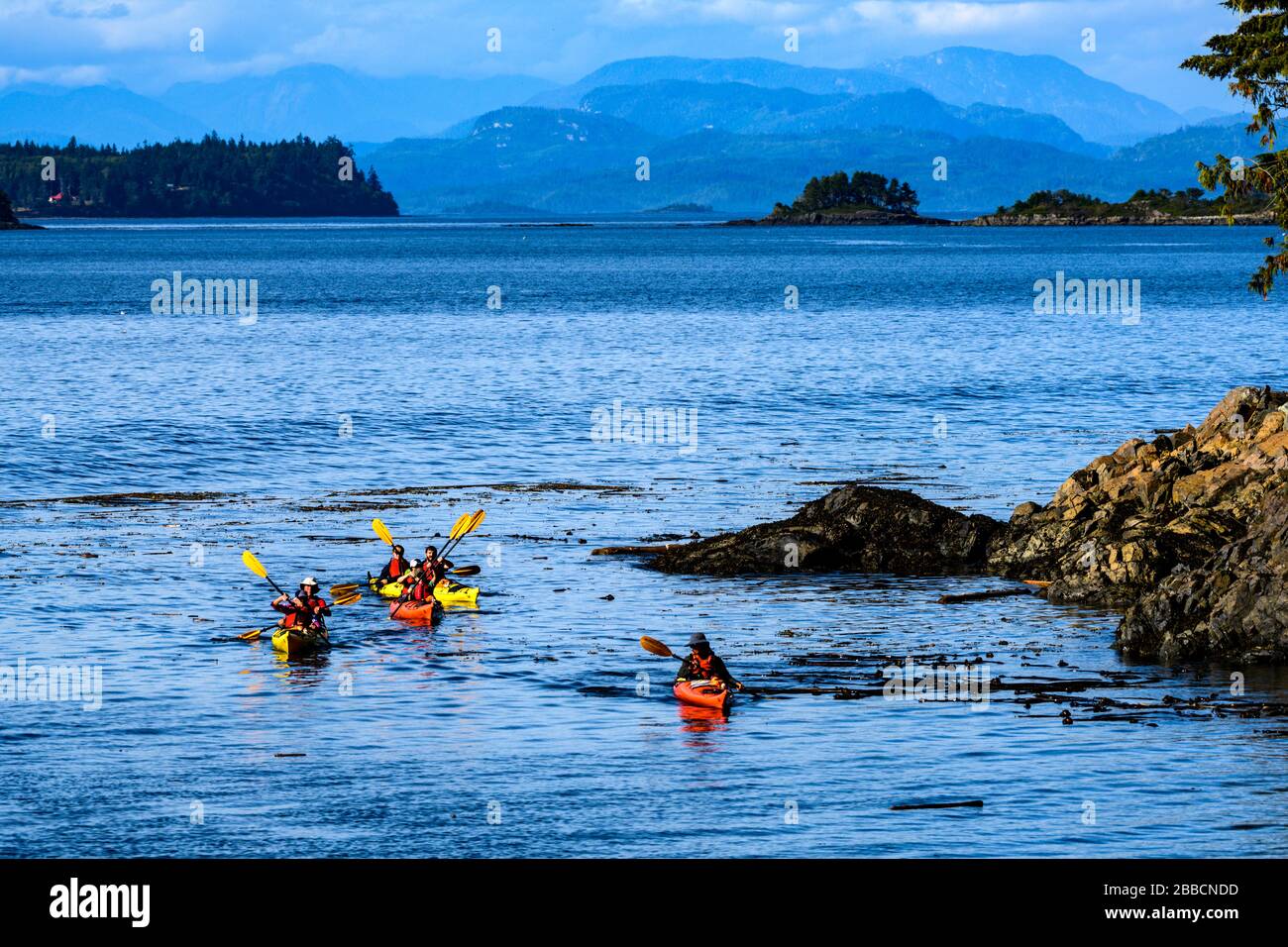 Kayaking, Telegraph Cove, Vancouver Island, BC, Canada Stock Photo