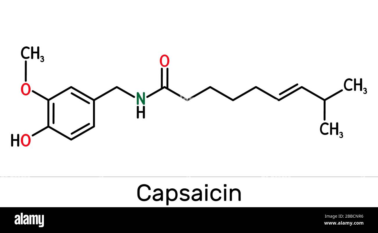 Capsaicin, alkaloid, C18H27NO3 molecule. It is chili pepper extract