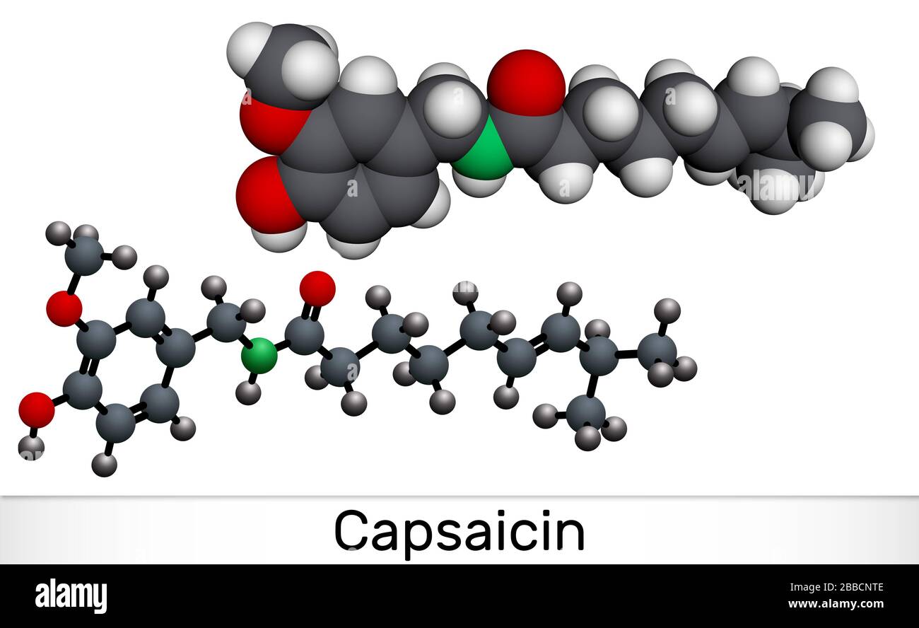 Capsaicin, alkaloid, C18H27NO3 molecule. It is chili pepper extract ...