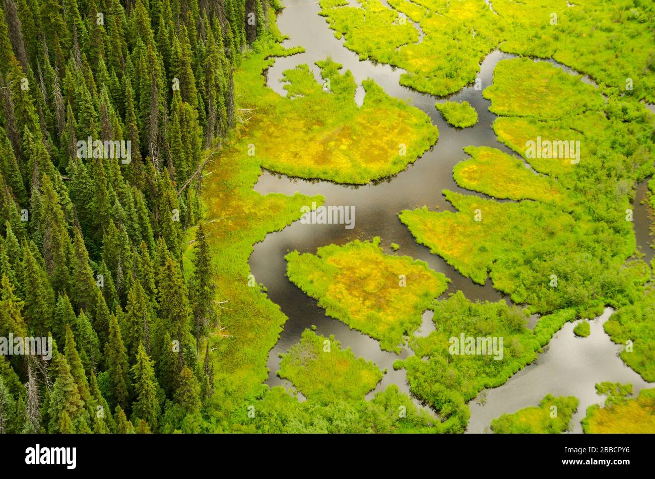Aerial view of a wetland near Smithers, British Columbia Stock Photo ...