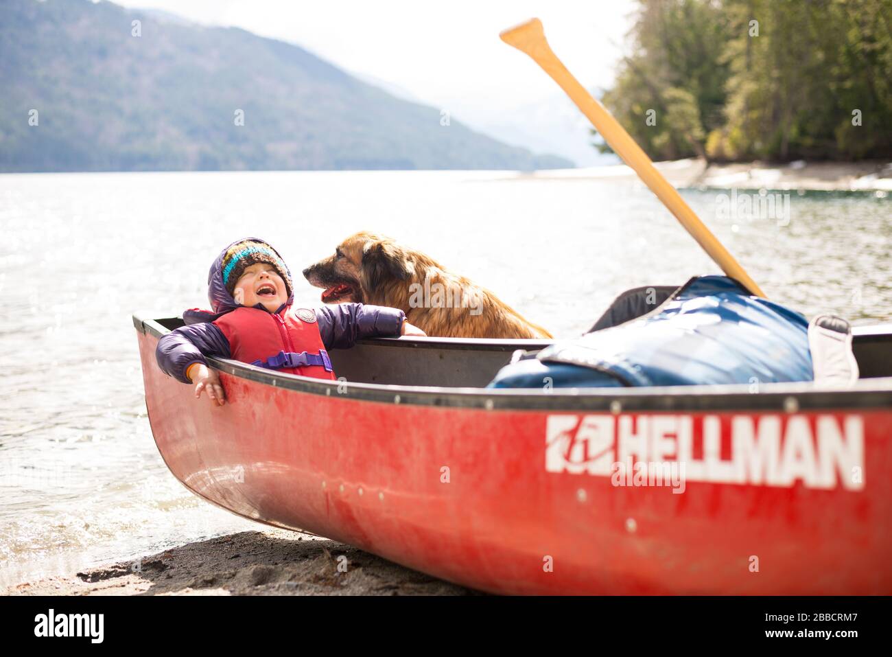 A boy and his dog messing around on Wragge beach, Slocan Lake, British Columbia Stock Photo
