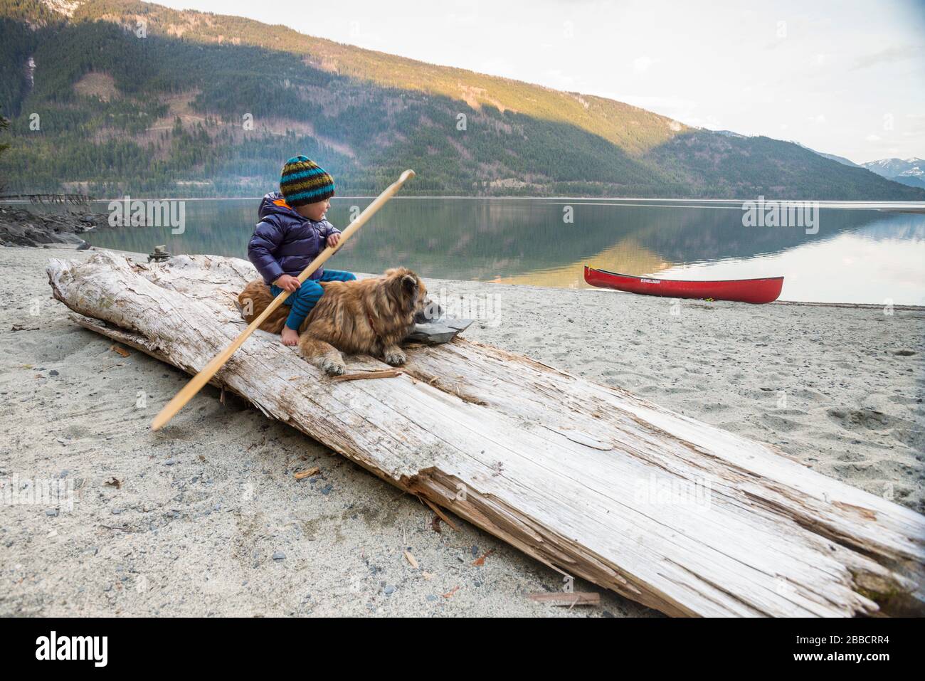 A boy and his dog messing around on Wragge beach, Slocan Lake, British Columbia Stock Photo