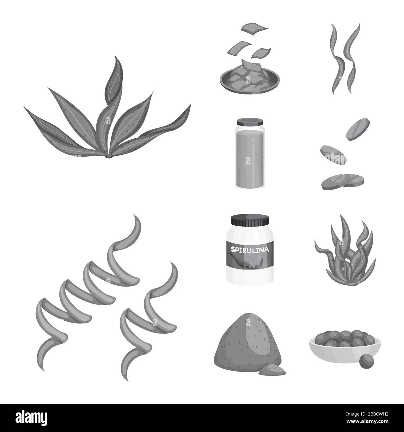 Vector illustration of plant and weed symbol. Set of plant and sea stock symbol for web. Stock Vector