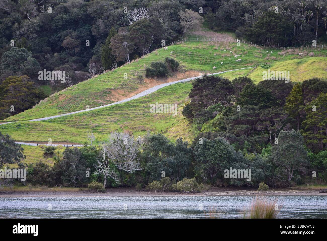 Steep slope of farmland land with areas of soil erosion and coastal ...