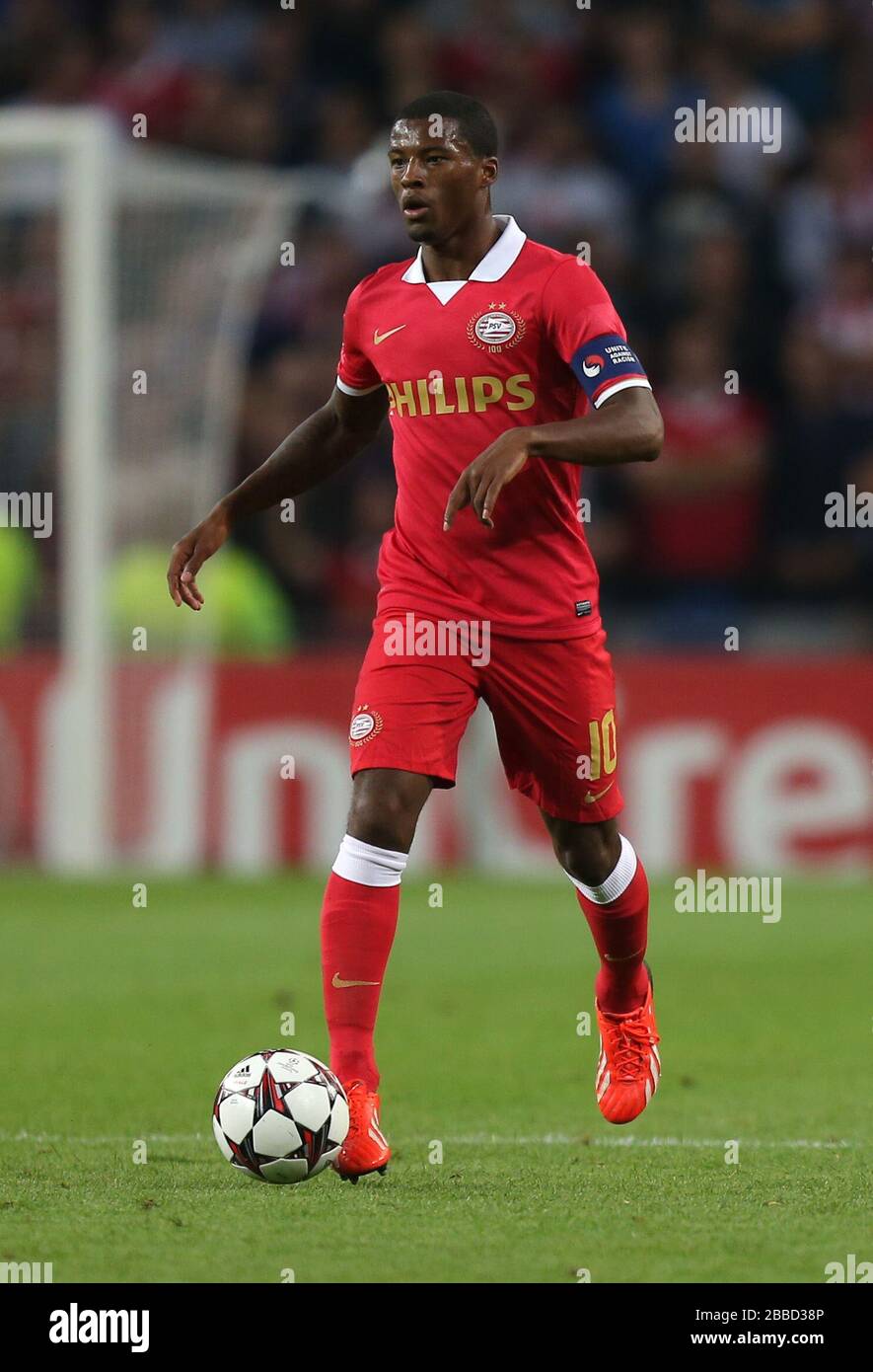 Georgino Wijnaldum Psv Eindhoven Stock Photo Alamy