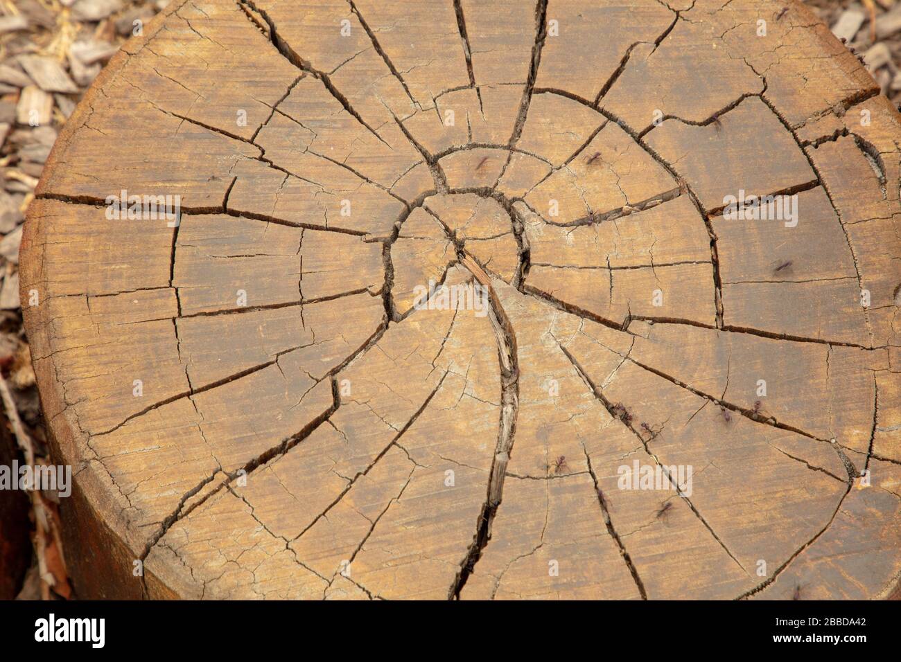 Playground with wooden equipment seen near Perth, western Australia