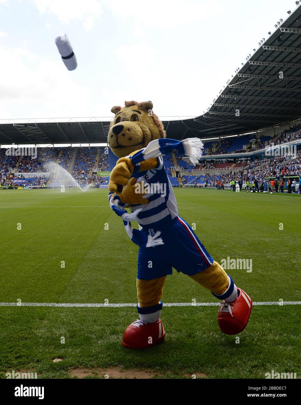 Reading mascot Kingsley Royal Stock Photo - Alamy