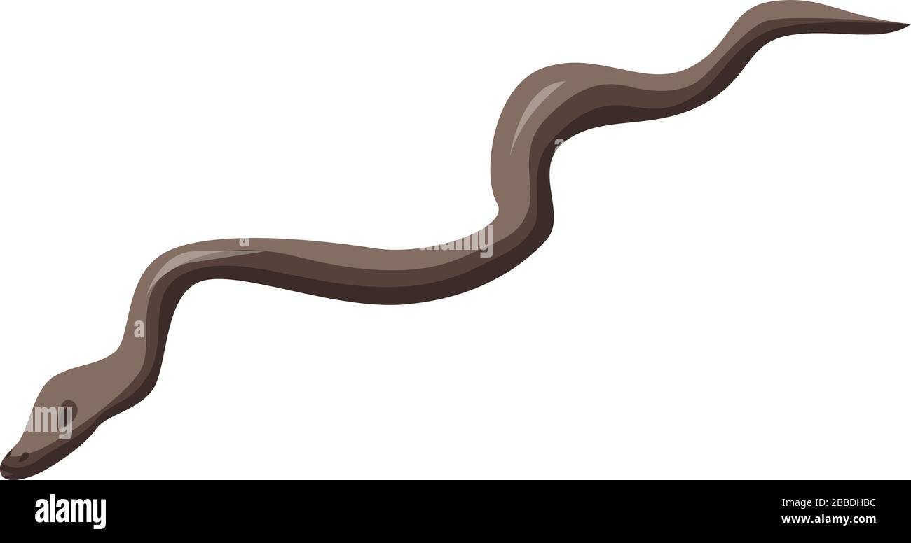 Zoo snake icon, isometric style Stock Vector