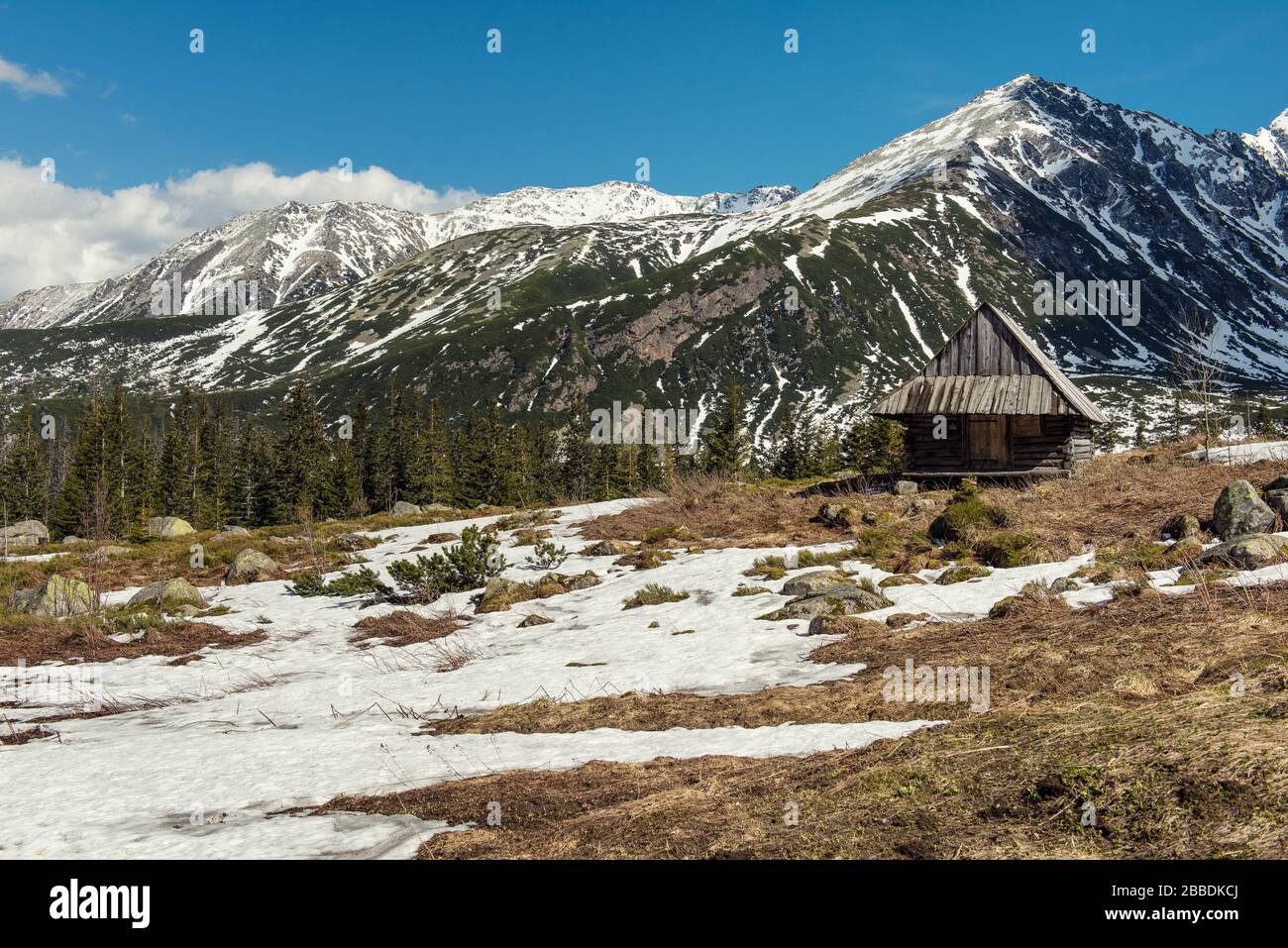 Wooden houses in the snowy mountains among the coniferous forest ...