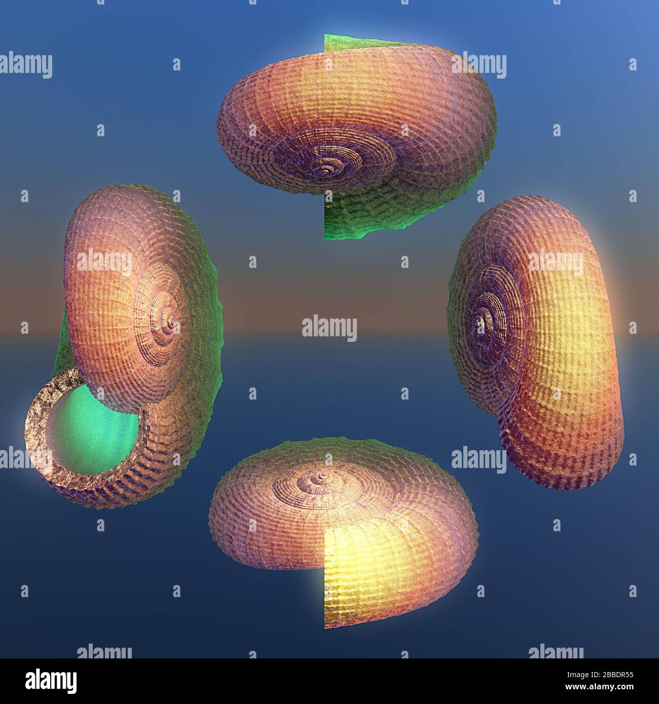 3D illustration of fractals calculated in the computer Stock Photo - Alamy