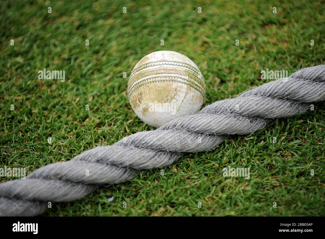 A general view of a cricket ball on the boundary Stock Photo Alamy