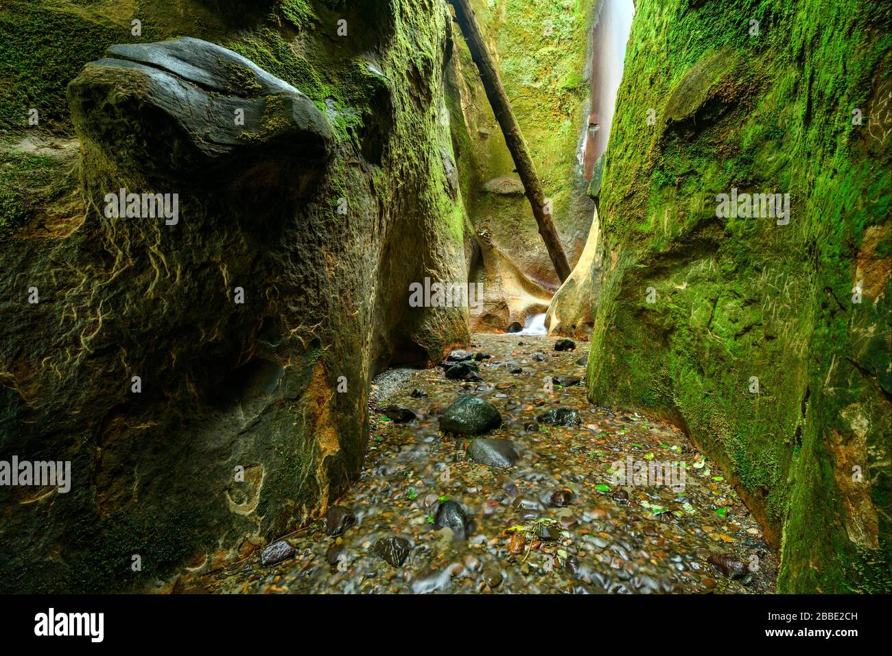 Sombrio Canyon, Juan de Fuca Trail, Vancouver Island, BC, Canada Stock Photo