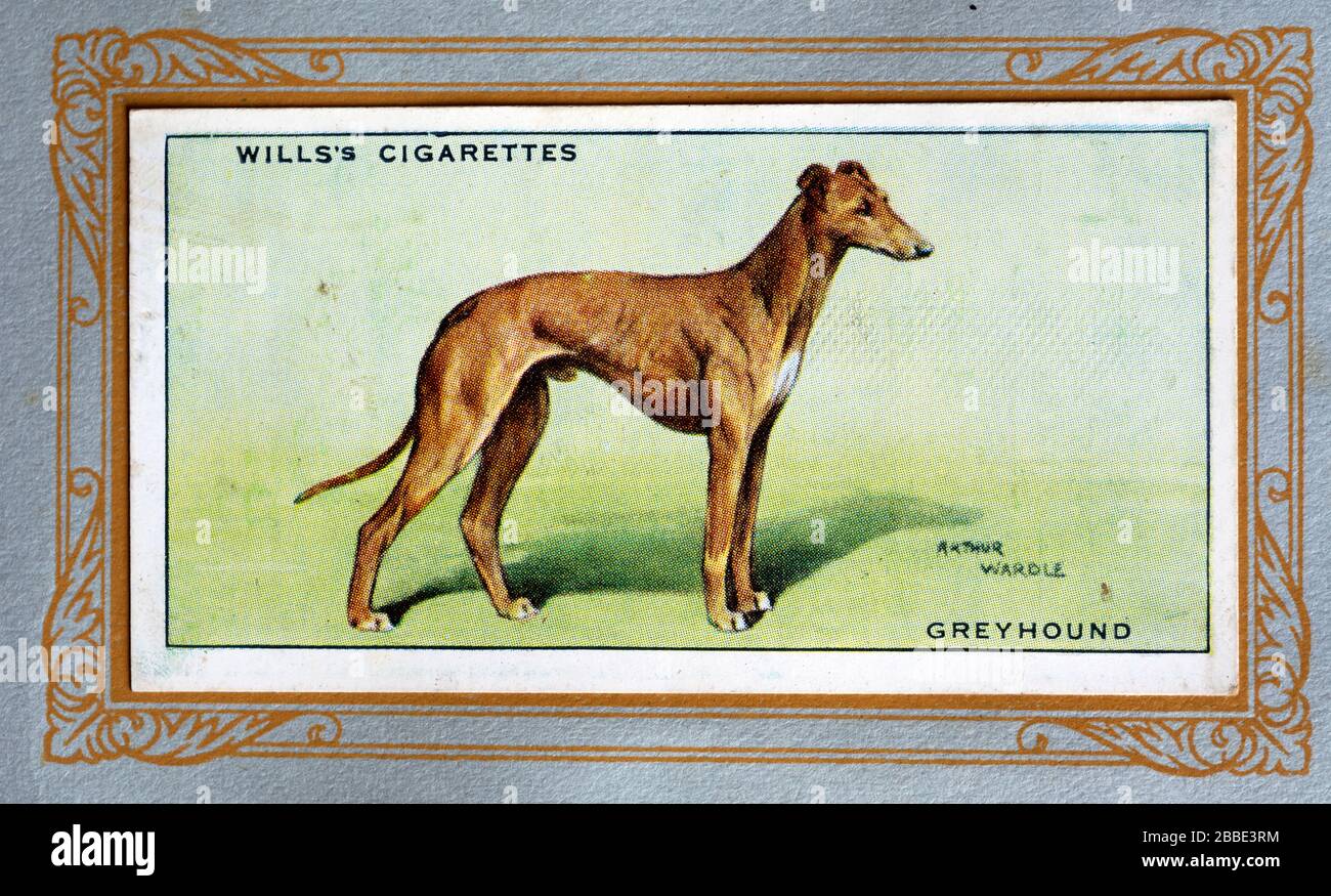 legal cigarettes in australia Australian governments urged to set a date to ban cigarette retail sales |  Health