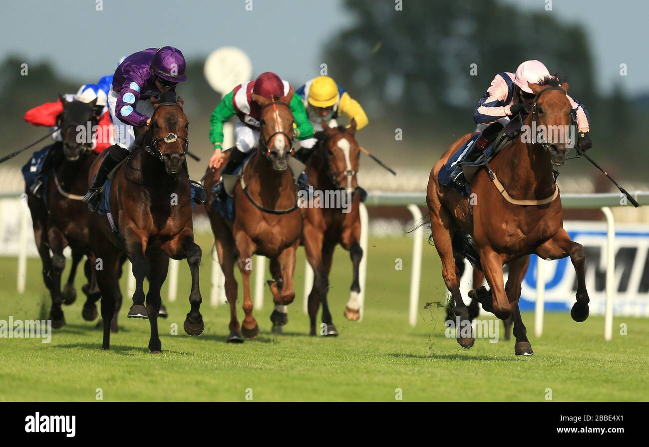 Standpoint ridden by Ryan Tate wins the Pump Technology Apprentice Handicap Stakes Stock Photo