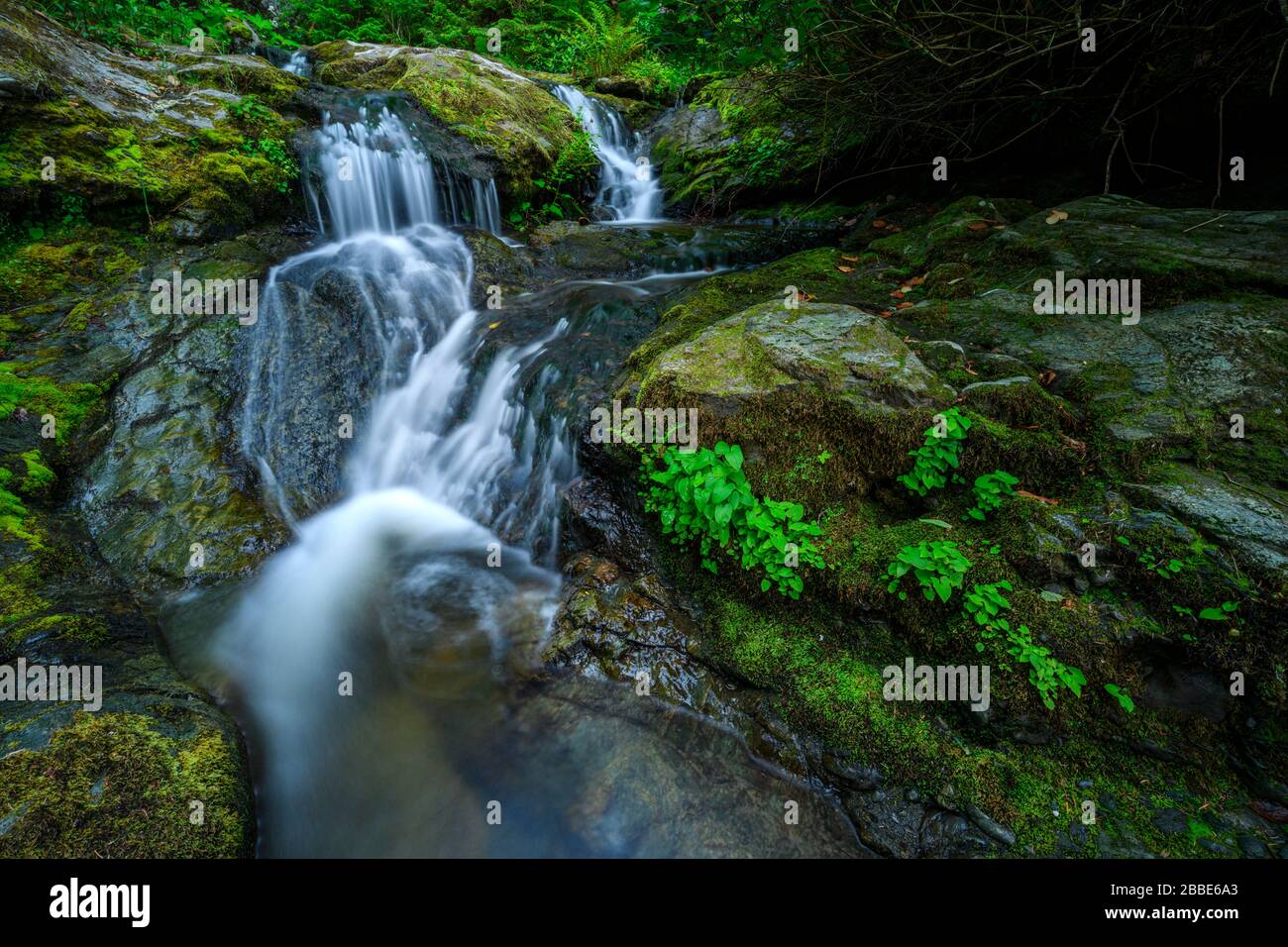 Sombrio Falls, Juan de Fuca Provincial Park, Vancouver Island, BC, Canda Stock Photo