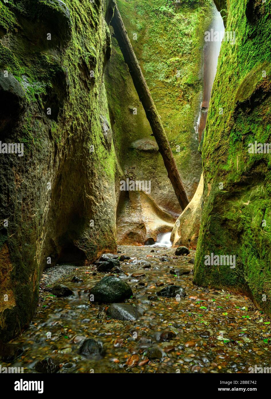 Sombrio Canyon, Juan de Fuca Trail, Vancouver Island, BC Canada Stock Photo