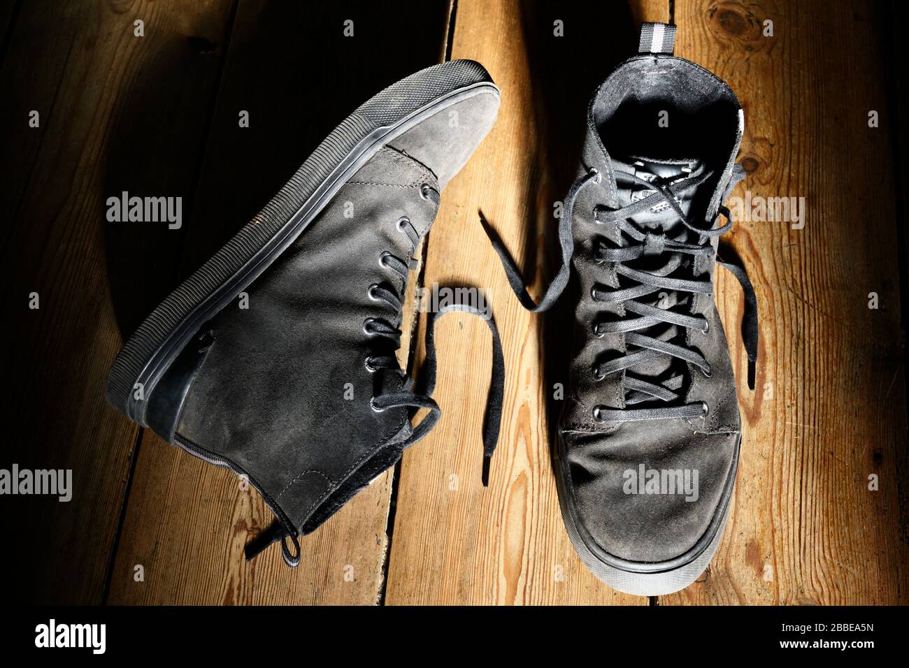 toms trvl lite high