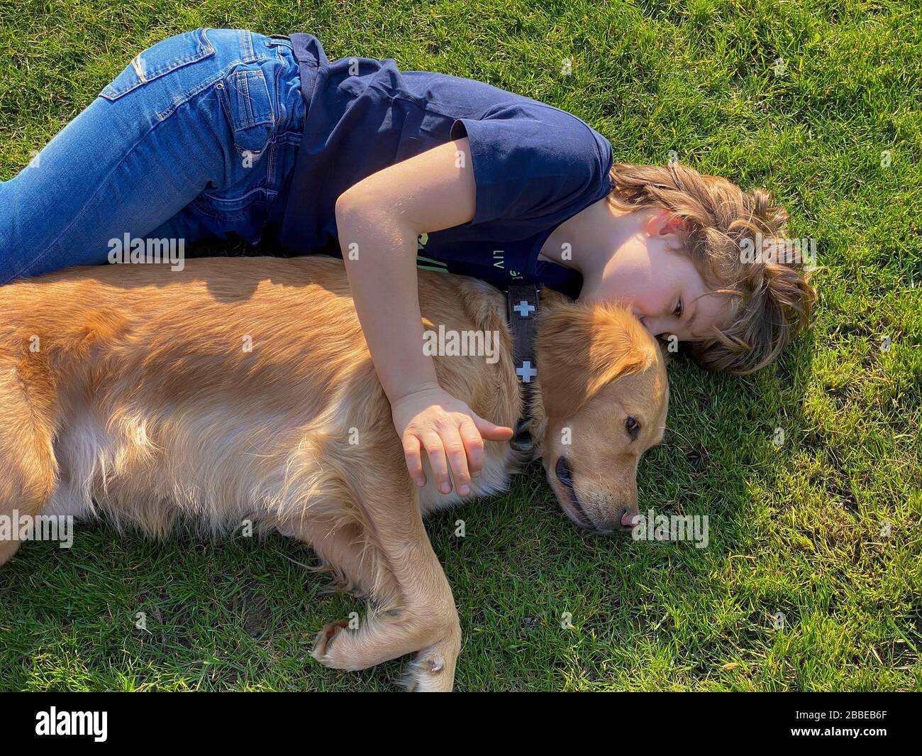 Young boy, 9 years old, playing with his dog, lying in a meadow, cuddling with the animal, Stock Photo