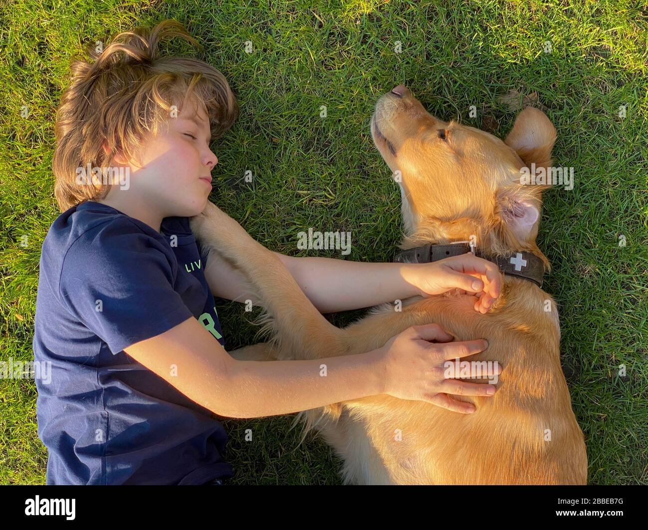 Young boy, 9 years old, playing with his dog, lying in a meadow, cuddling with the animal, Stock Photo