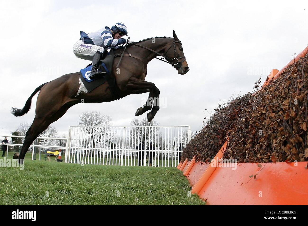 19 A P McCoy Photo Irish Jockey Motivation Quote Horse Racing Poster Sport Print