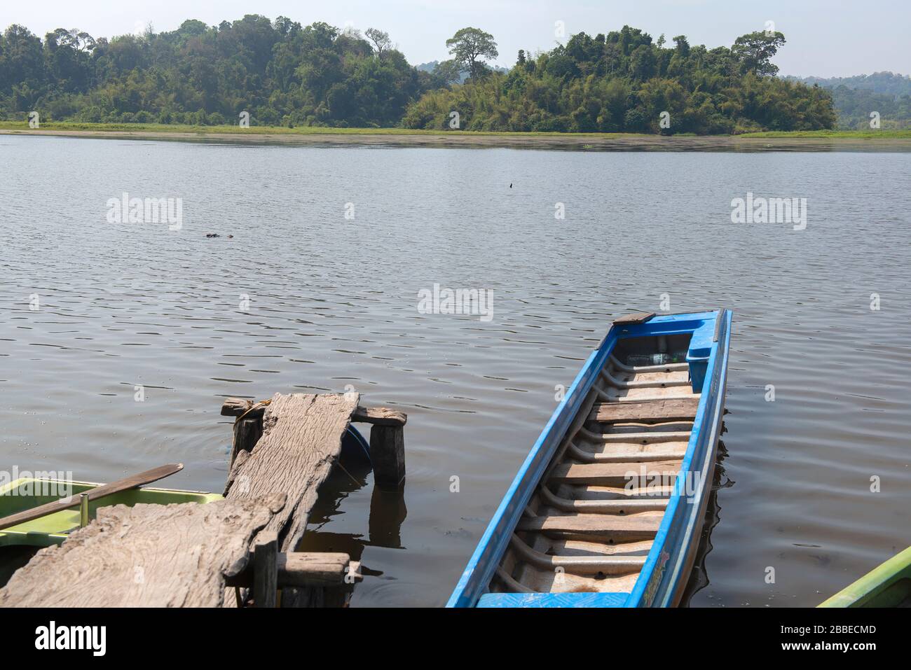 Crocodiles lurk in the lake, Cat Tien Nationalpark in the south of Vietnam Stock Photo