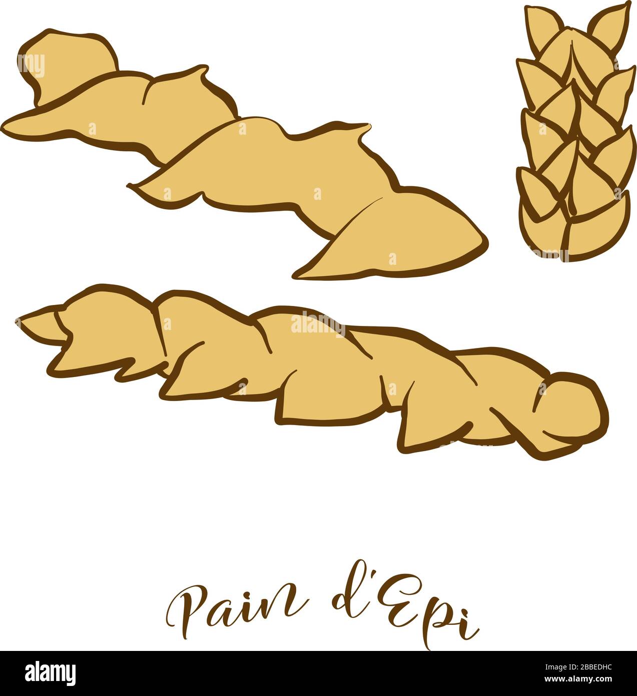 Colored drawing of Pain de Epi bread. Vector illustration of Yeast bread food, usually known in France. Colored Bread sketches. Stock Vector