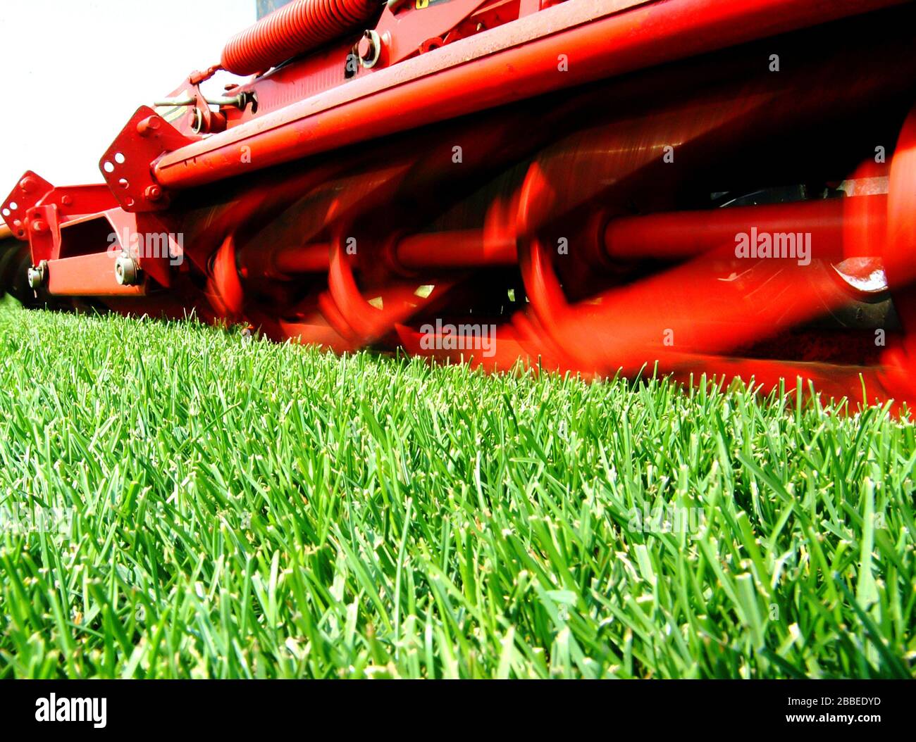 Grass production for football stadiums, cutting phase Stock Photo