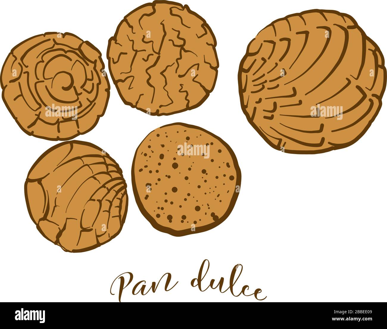 Colored drawing of Pan dulce bread. Vector illustration of Sweet bread food, usually known in Mexico. Colored Bread sketches. Stock Vector