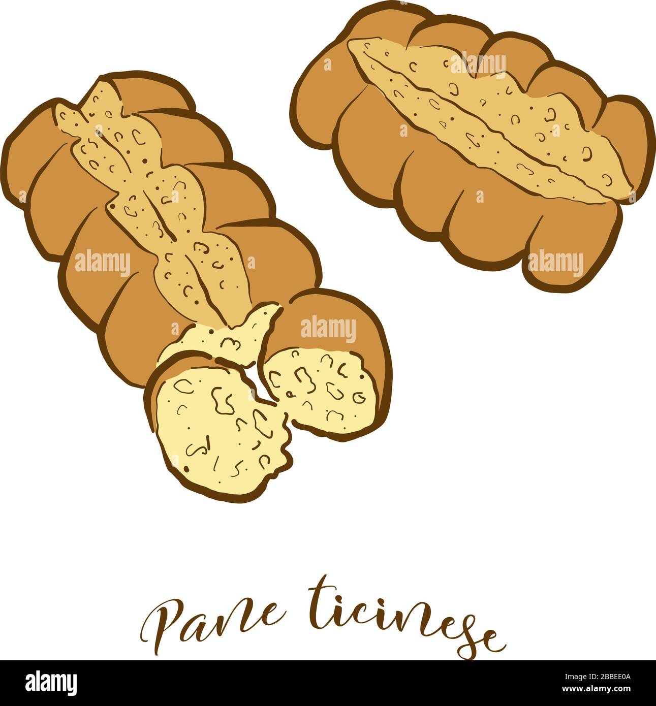 Colored drawing of Pane ticinese bread. Vector illustration of Leavened, White food, usually known in Switzerland. Colored Bread sketches. Stock Vector