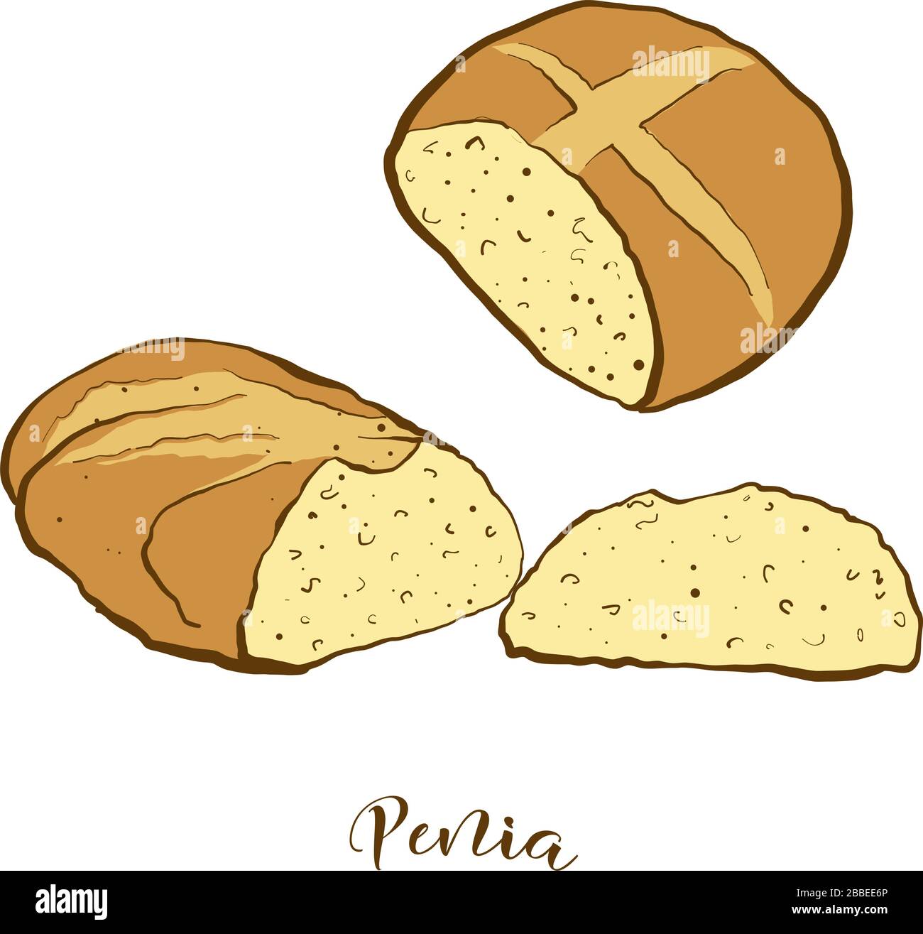 Colored drawing of Penia bread. Vector illustration of Sweet bread food