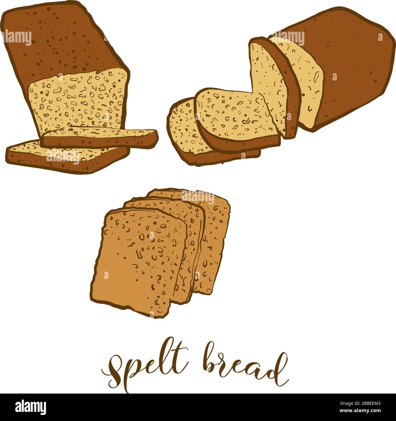 Colored drawing of Spelt bread bread. Vector illustration of Yeast