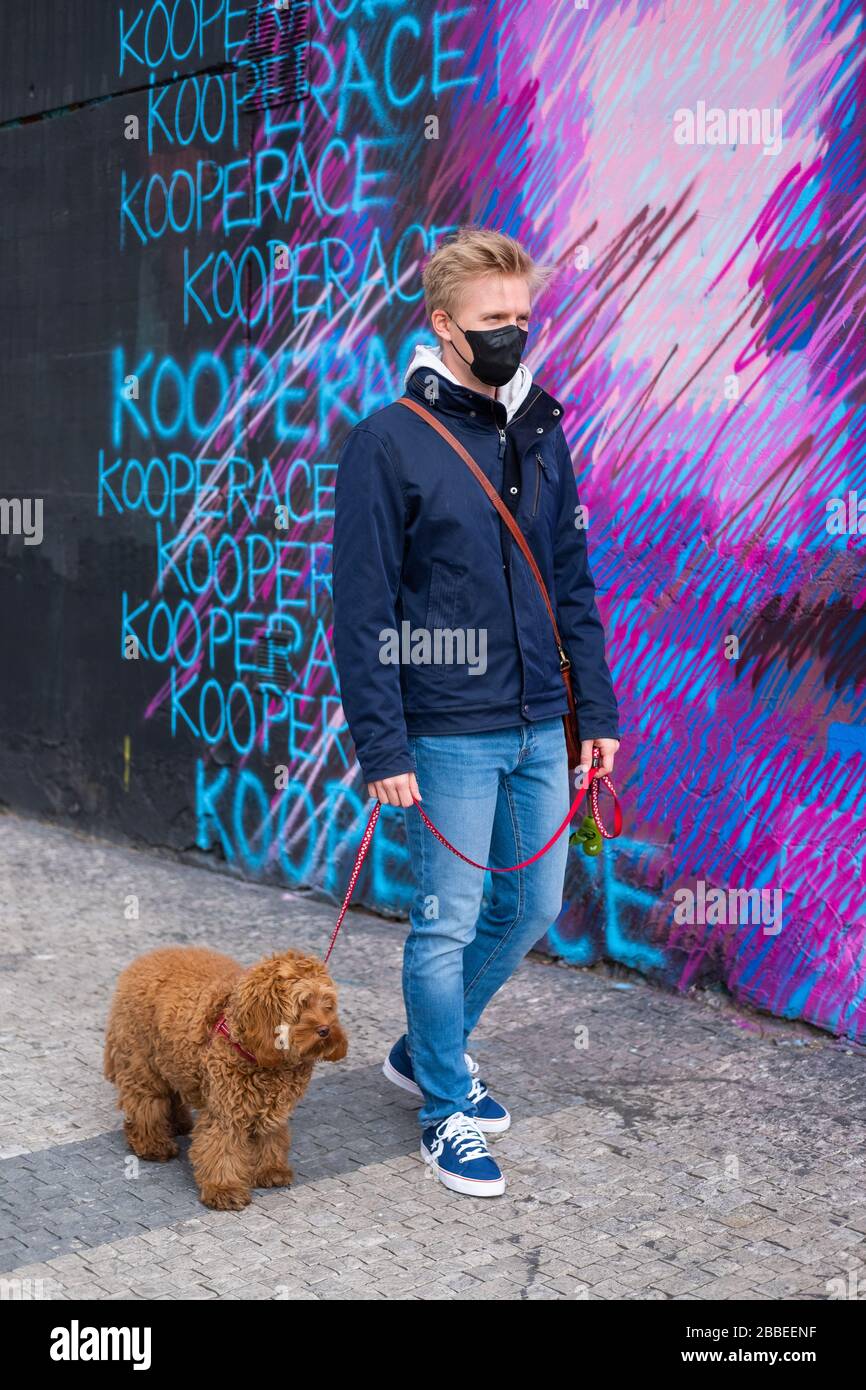 Man walks dog wearing face mask protection  Stock Photo