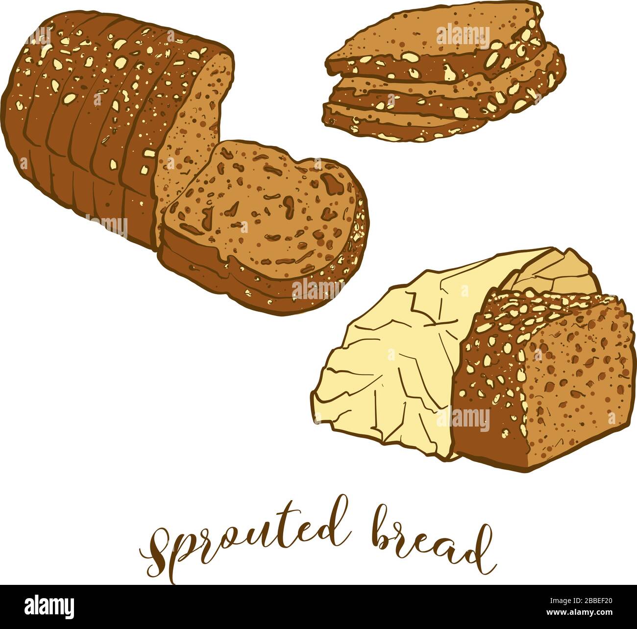 Colored drawing of Sprouted bread bread. Vector illustration of Sprouted food, usually known in Europe. Colored Bread sketches. Stock Vector