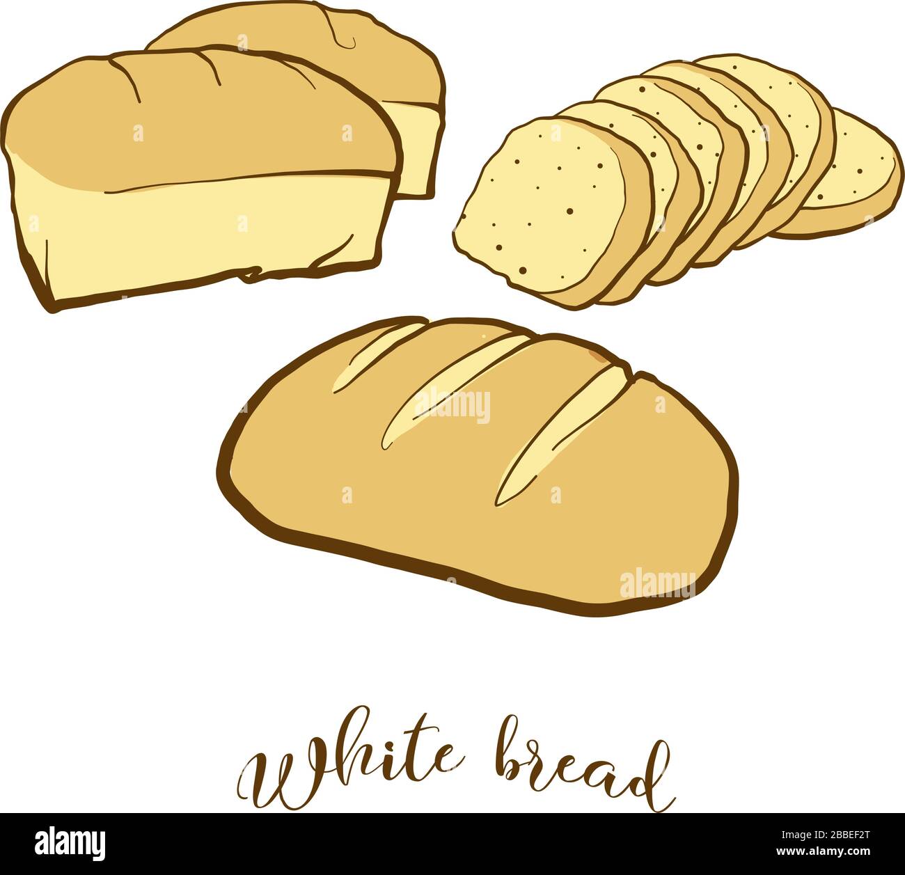 Colored drawing of White bread bread. Vector illustration of White food