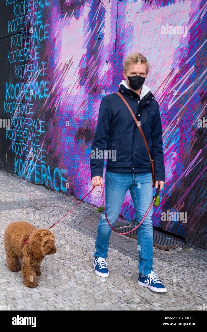 Man walks dog wearing face mask protection  Stock Photo