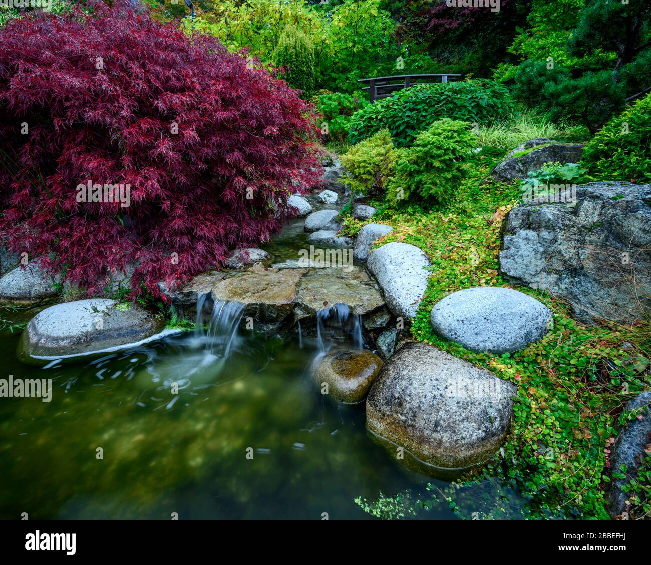 Gorge Park, Japanese Gardens, Victoria, Vancouver Island, BC Canada Stock Photo