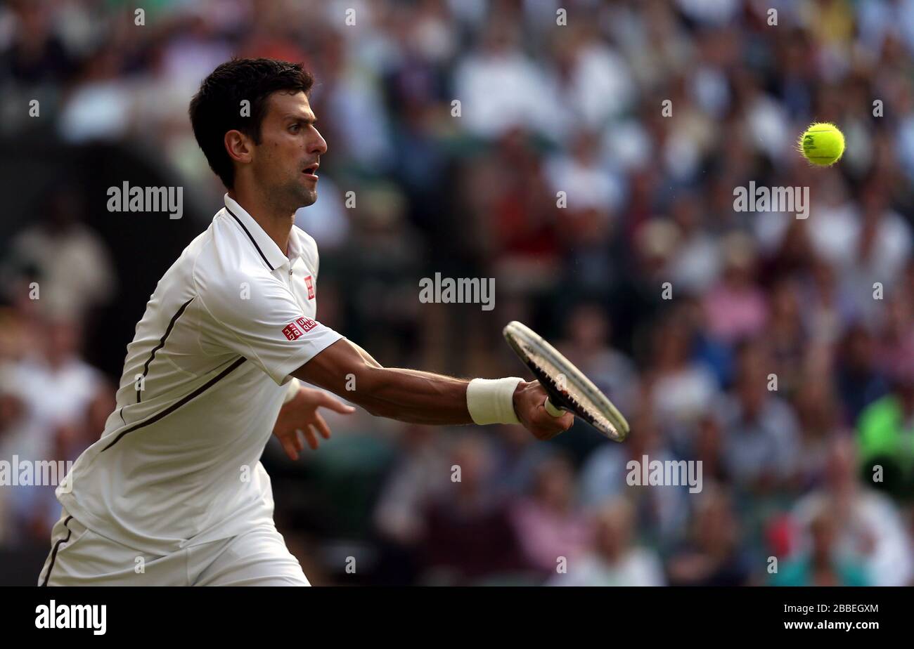 Serbia's Novak Djokovic in action against Germany's Tommy Haas Stock Photo  - Alamy