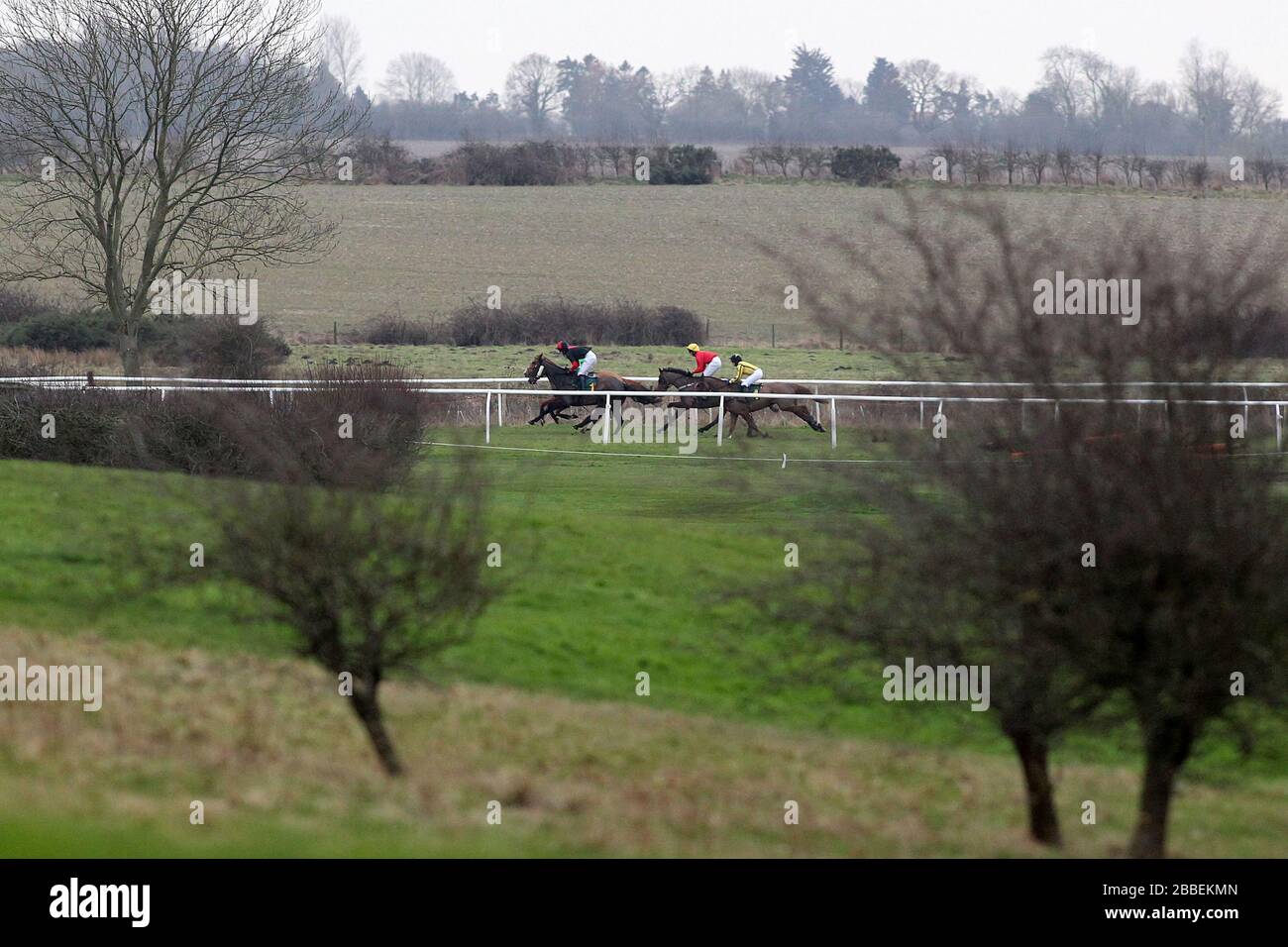 The field in action in the CGA Foxhunter Trial Hunters Chase (for the Walter Wales Cup) Stock Photo