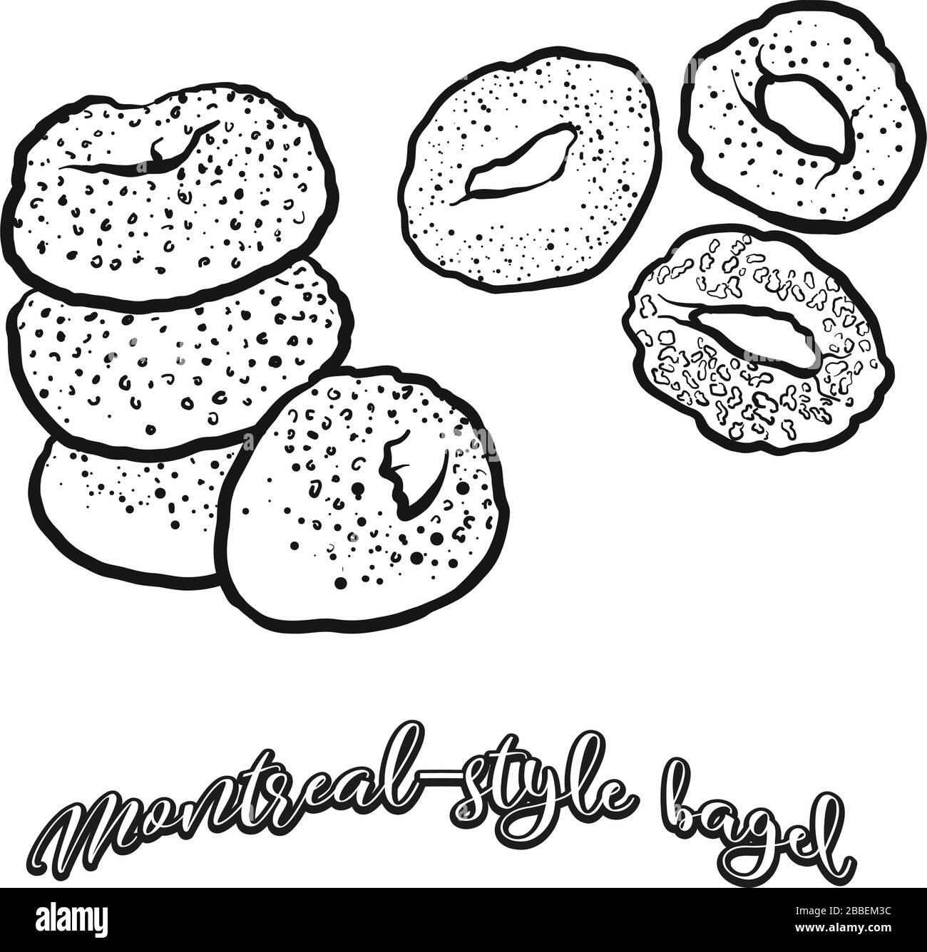 Montreal-style bagel food sketch separated on white. Vector drawing of Yeast bread, usually known in Canada. Food illustration series. Stock Vector