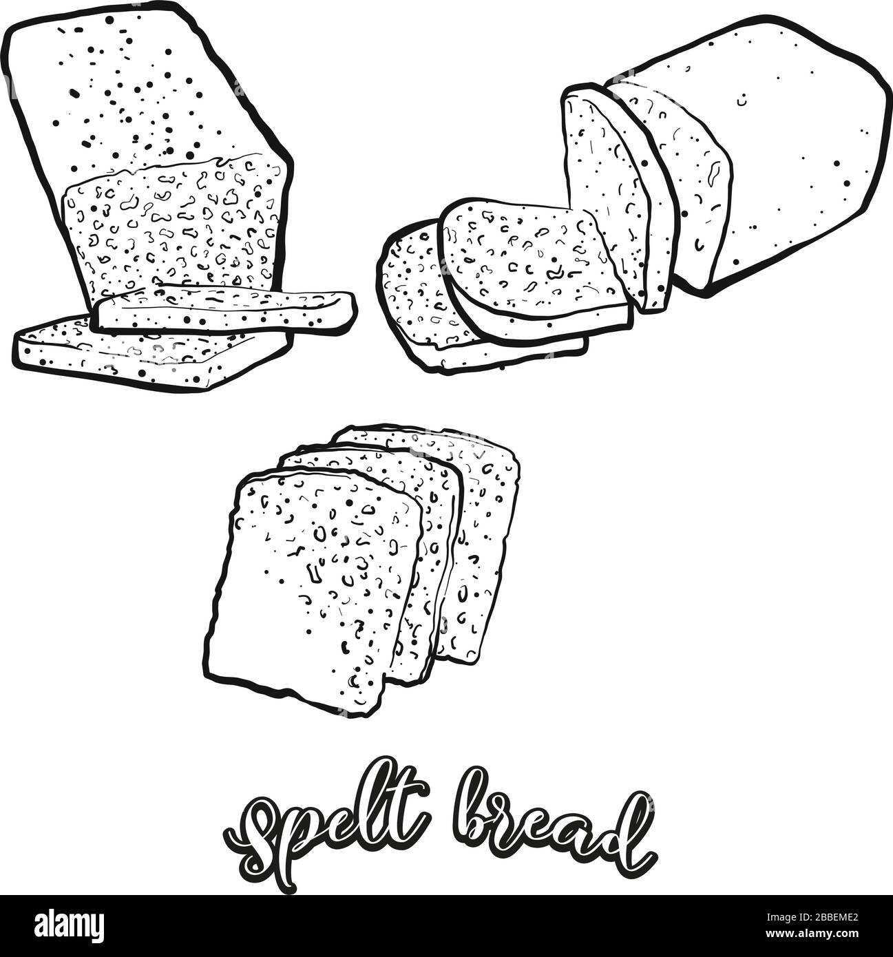 Spelt bread food sketch separated on white. Vector drawing of Yeast bread, usually known in Europe. Food illustration series. Stock Vector