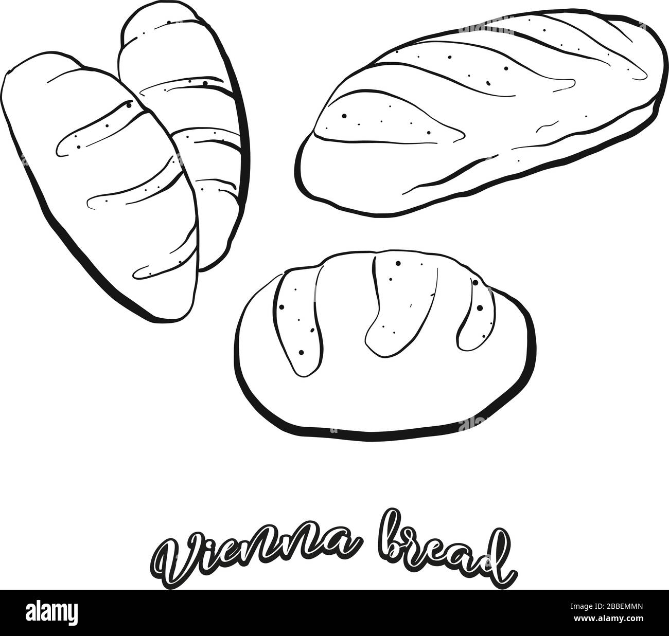 Vienna bread food sketch separated on white. Vector drawing of Leavened, usually known in Austria, Vienna. Food illustration series. Stock Vector