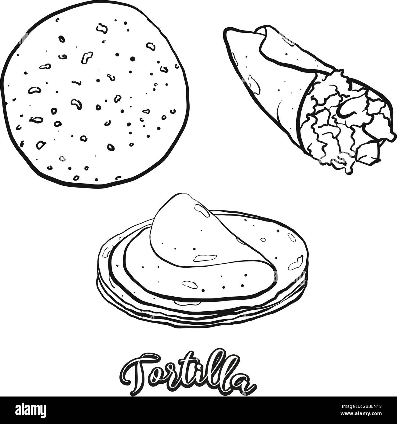 Tortilla food sketch separated on white. Vector drawing of Flatbread, usually known in Mexico