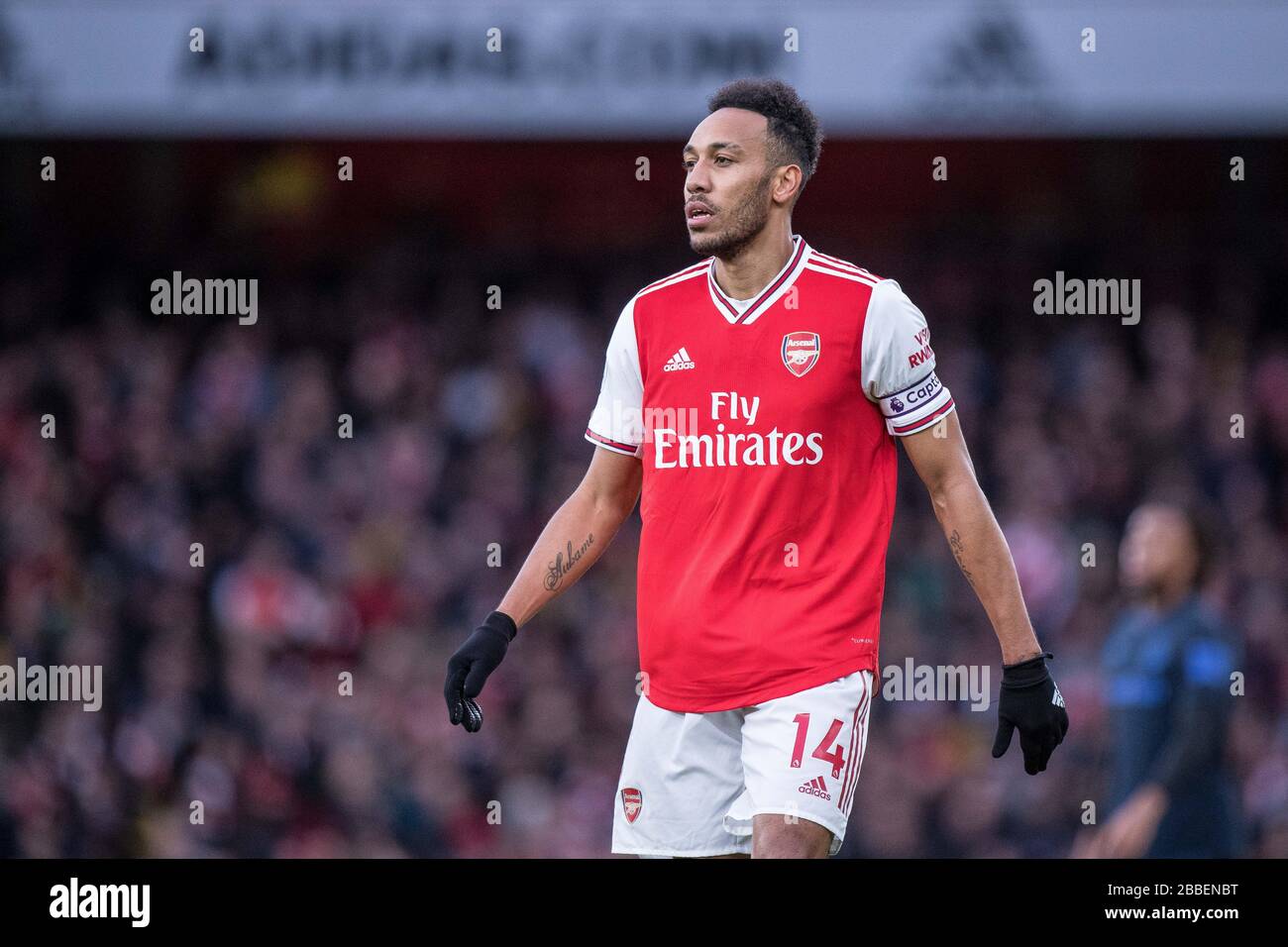 LONDON, ENGLAND - FEBRUARY 23: Pierre-Emerick Aubameyang of Arsenal FC  looks on during the Premier League match between Arsenal FC and Everton FC  at E Stock Photo - Alamy