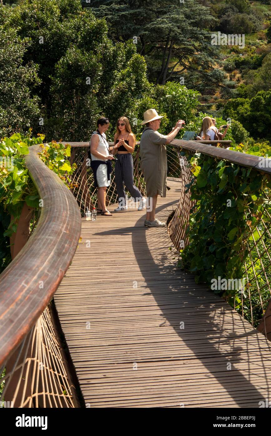 South Africa, Cape Town, Kirstenbosch National Botanical Garden, two visitors on elevated tree canopy walkway in sunshine Stock Photo