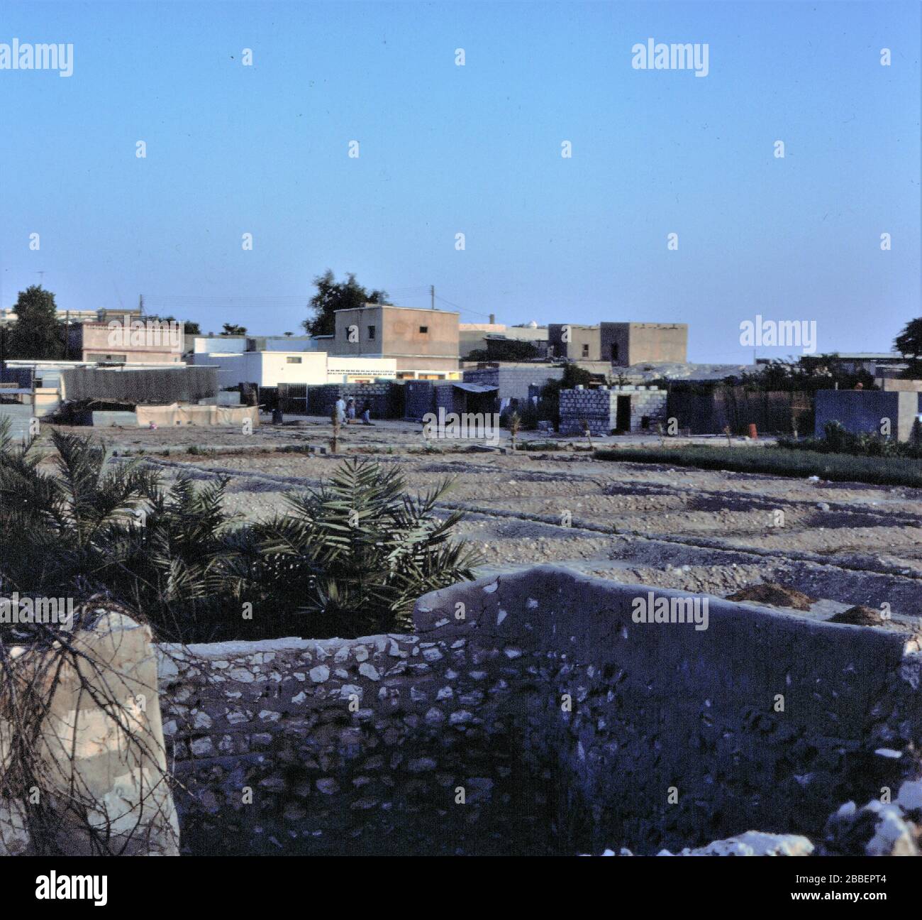 Umm ali hires stock photography and images Alamy